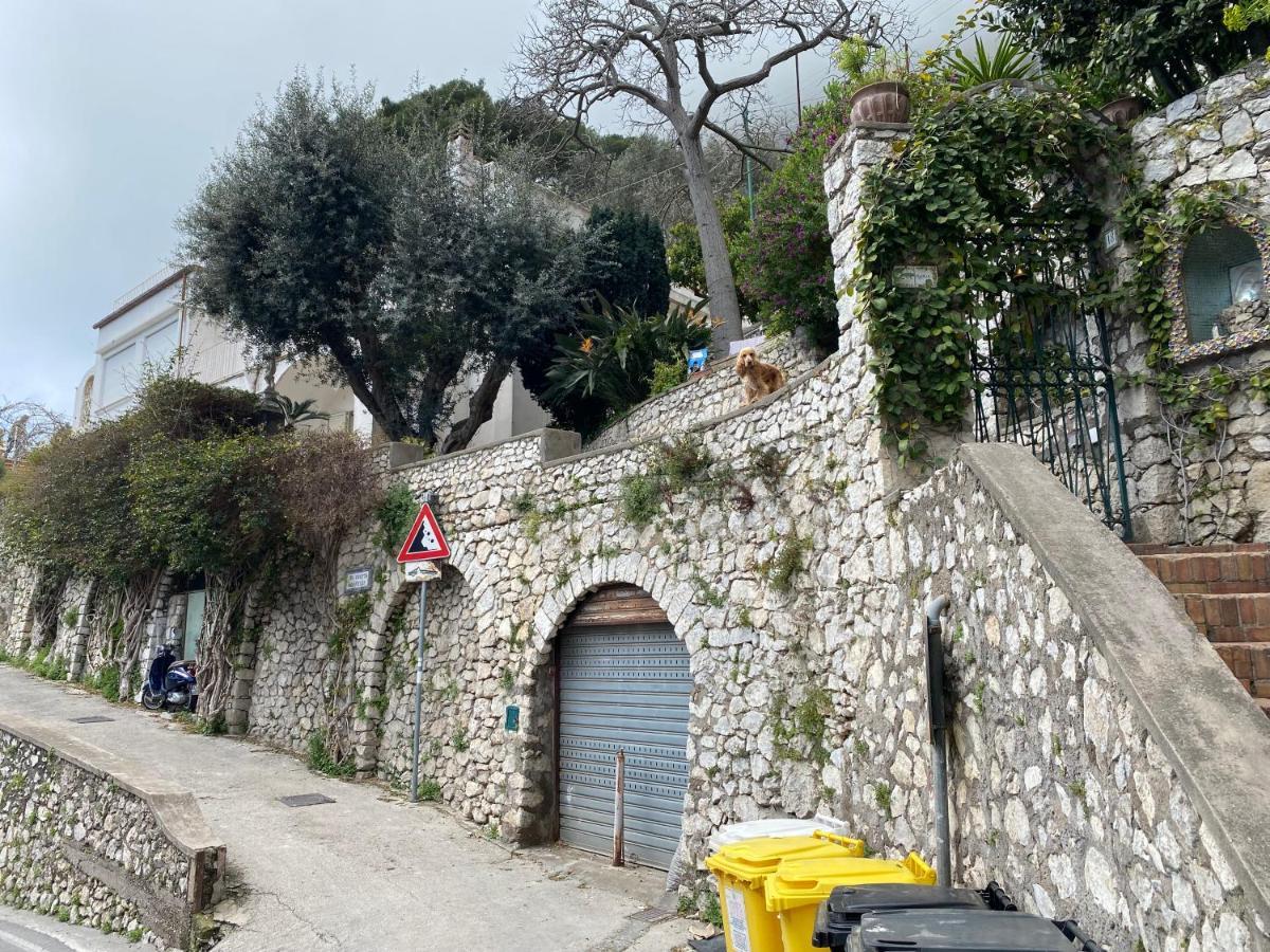 Regina Di - Vista Faraglioni Capri